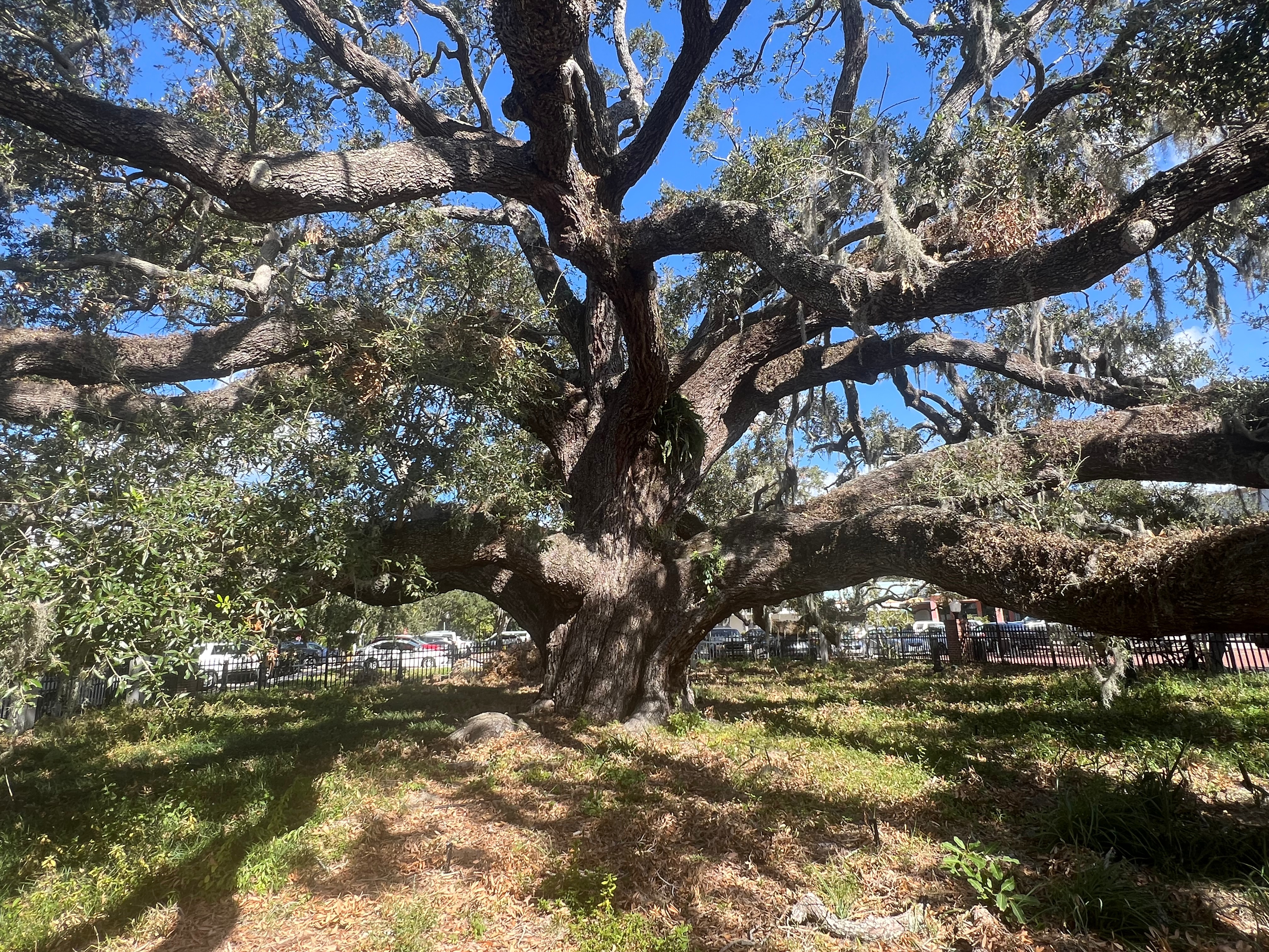 Tampa – Bay of the Holy Spirit