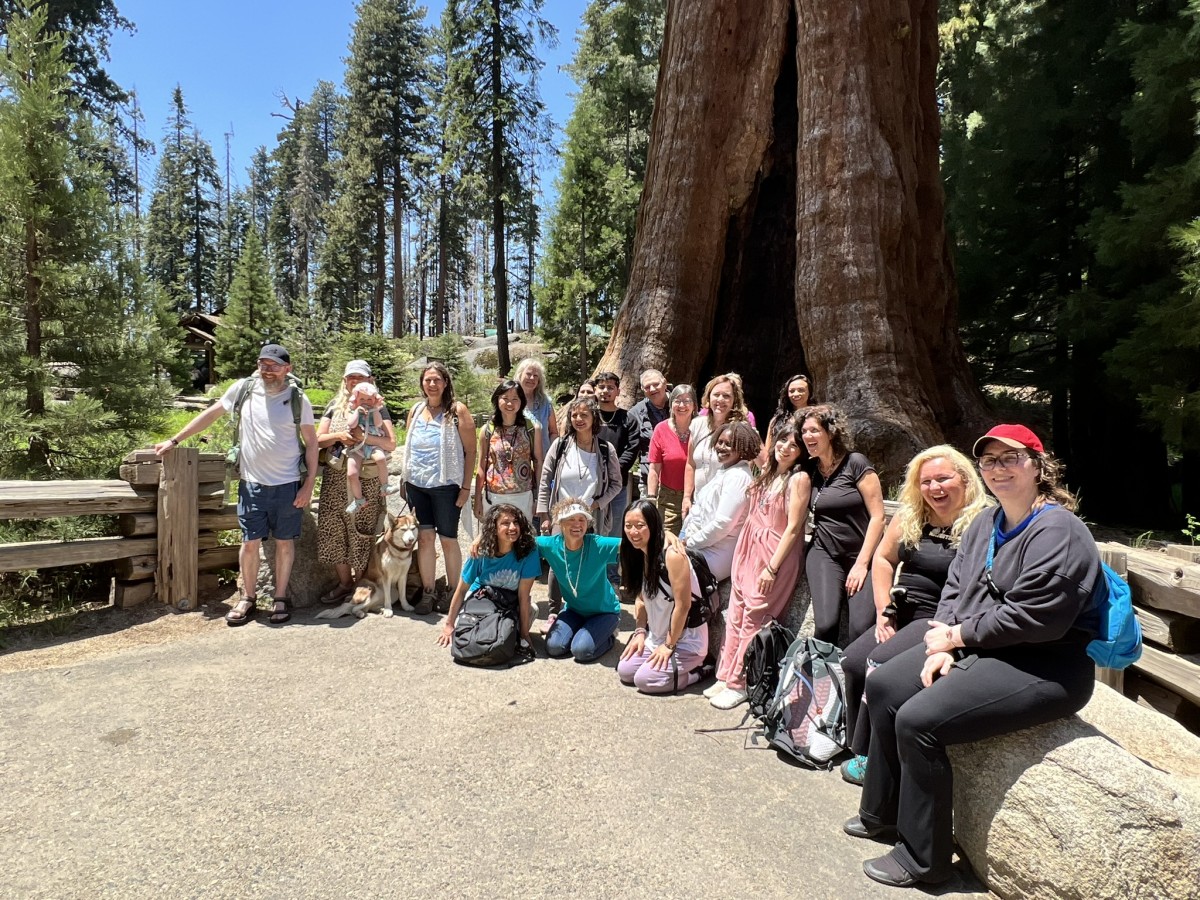 Remember the Giant Trees of Lemuria